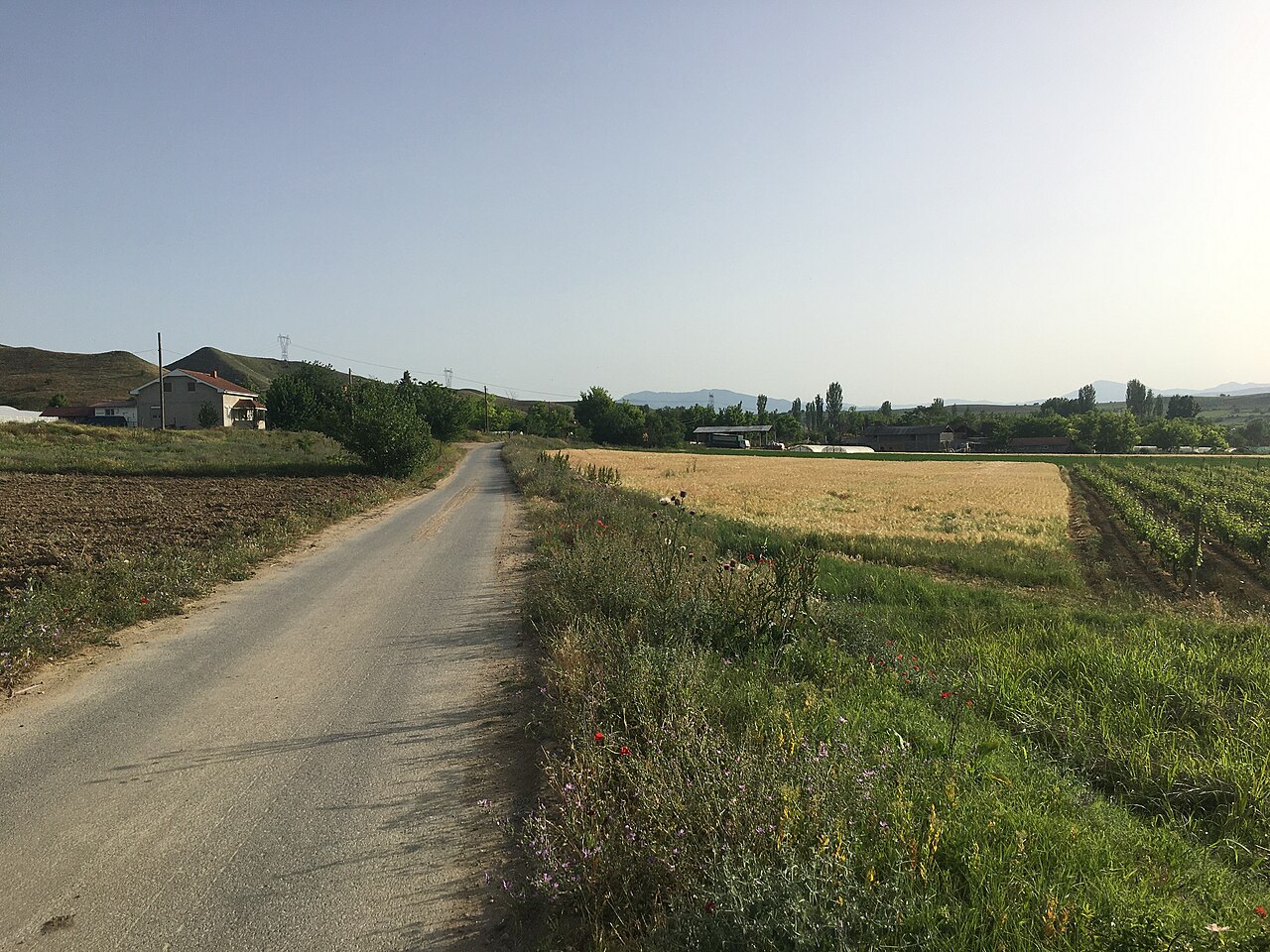 Село Курија  и винаријата „Вардарска Долина“